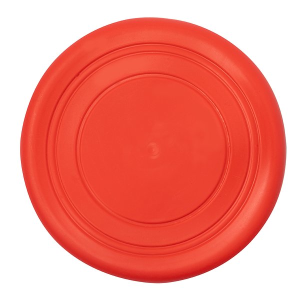 Frisbie Idrud