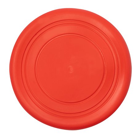 Frisbie Idrud