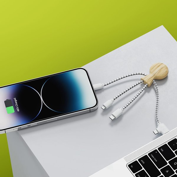 Mr. Bio Bamboo Charging Cable Gillanna