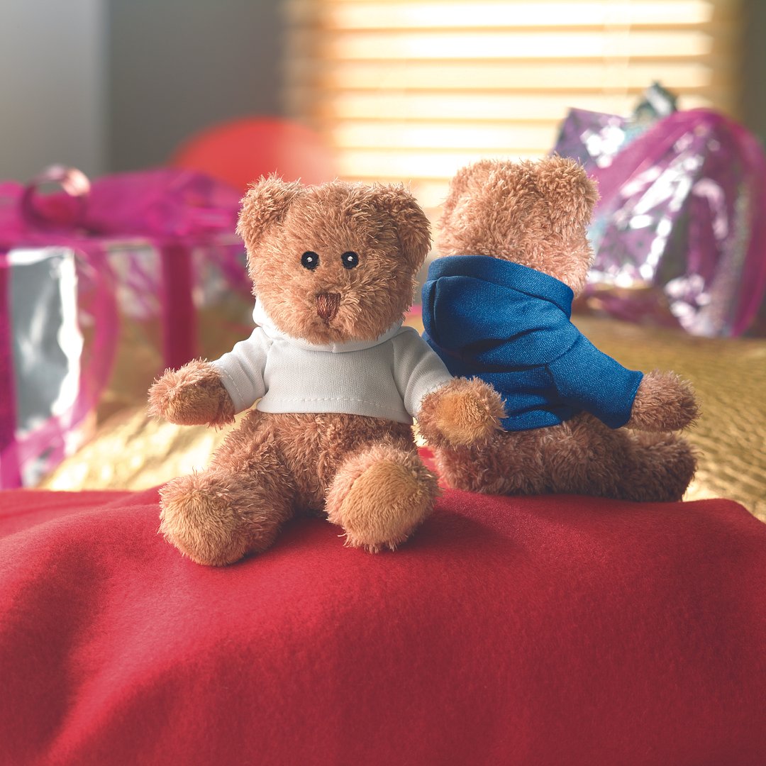 Teddybär mit Hoody Bengi