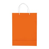 Laminierte Papiertasche, groß Utzio