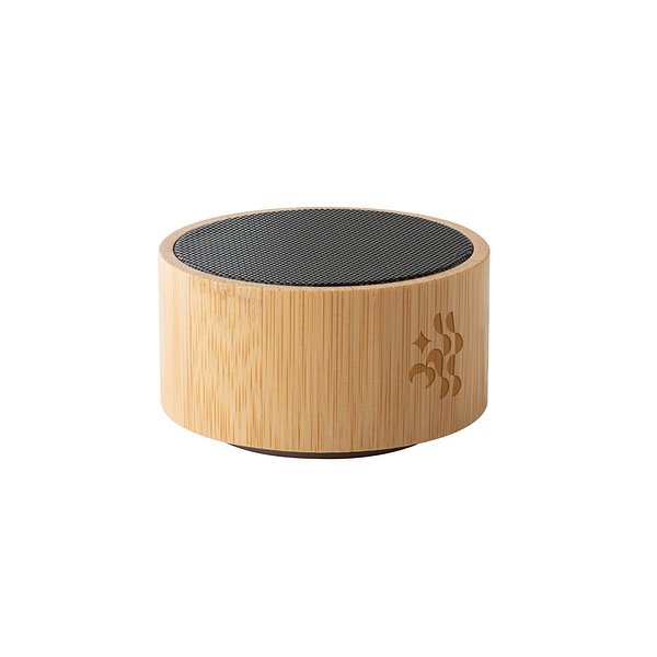 Bluetooth Lautsprecher mit Mikrofon Albrg