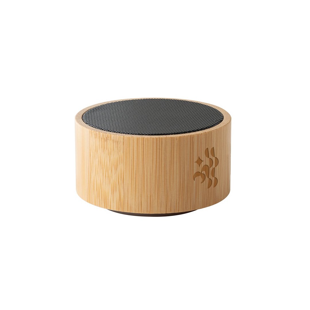 Bluetooth Lautsprecher mit Mikrofon Albrg