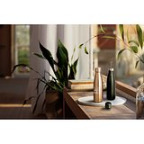 Edelstahlflasche 510 mL mit mattem Metallic-Finish Helveza