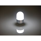 COB Light Taschenlampe Raiter