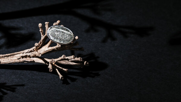 Verstellbarer Ring Idsok