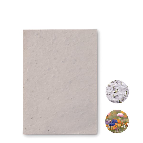 DIN A6 Wildblumen-Samenpapier Lüta