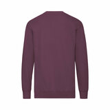 Erwachsene Sweatshirt Idn S