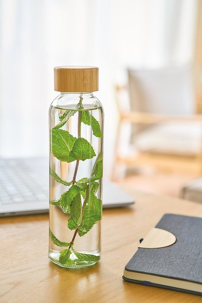 Glas-Trinkflasche (500 ml) Warain