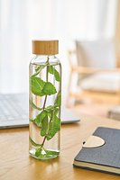 Glas-Trinkflasche (500 ml) Warain