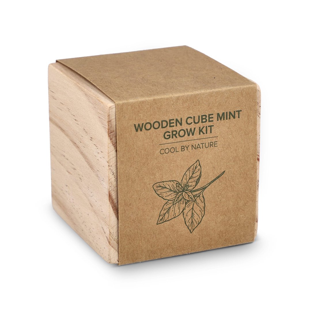 Holzpflanzgefäß-Set – Mint Giuandi