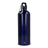 R-Edelstahl einwandige Flasche mit Karabiner 750ml Chatha