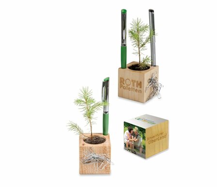 Büro Holz-Würfel Fichte