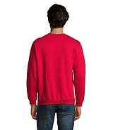 Herren Sweater 260g Bendinati