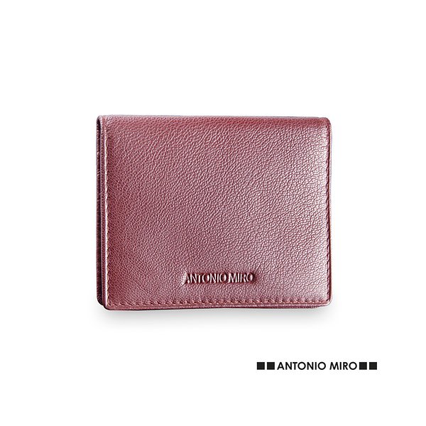 Visitenkartenetui Brieftasche Idtus