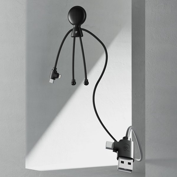 Mr. Bio Long Power Delivery Cable with data transfer Gierdich