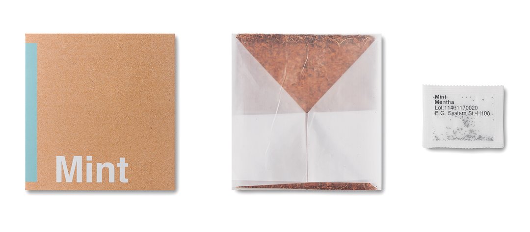 Pflanz-Set "Minze" Paulia