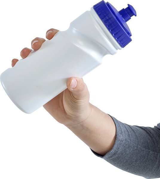 Trinkflasche Regnana | 500 ml