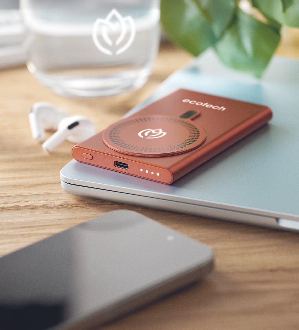 Powerbank mit Ladestation 15W Warena