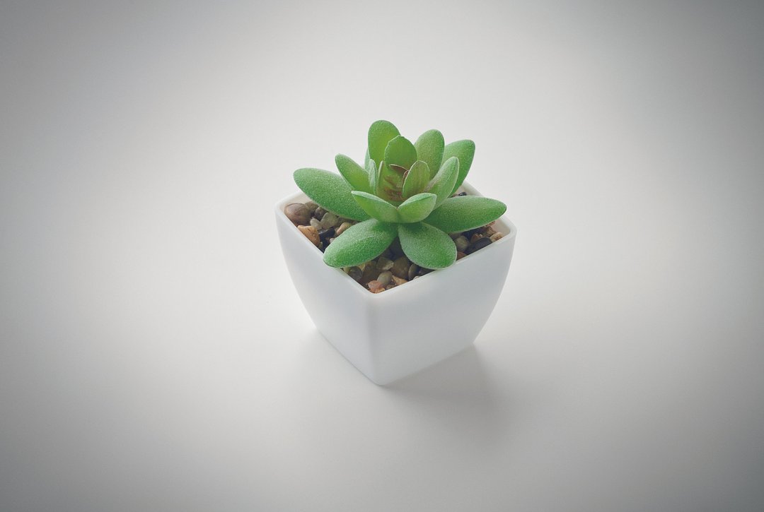Mini-Kunstpflanze Ciaminath