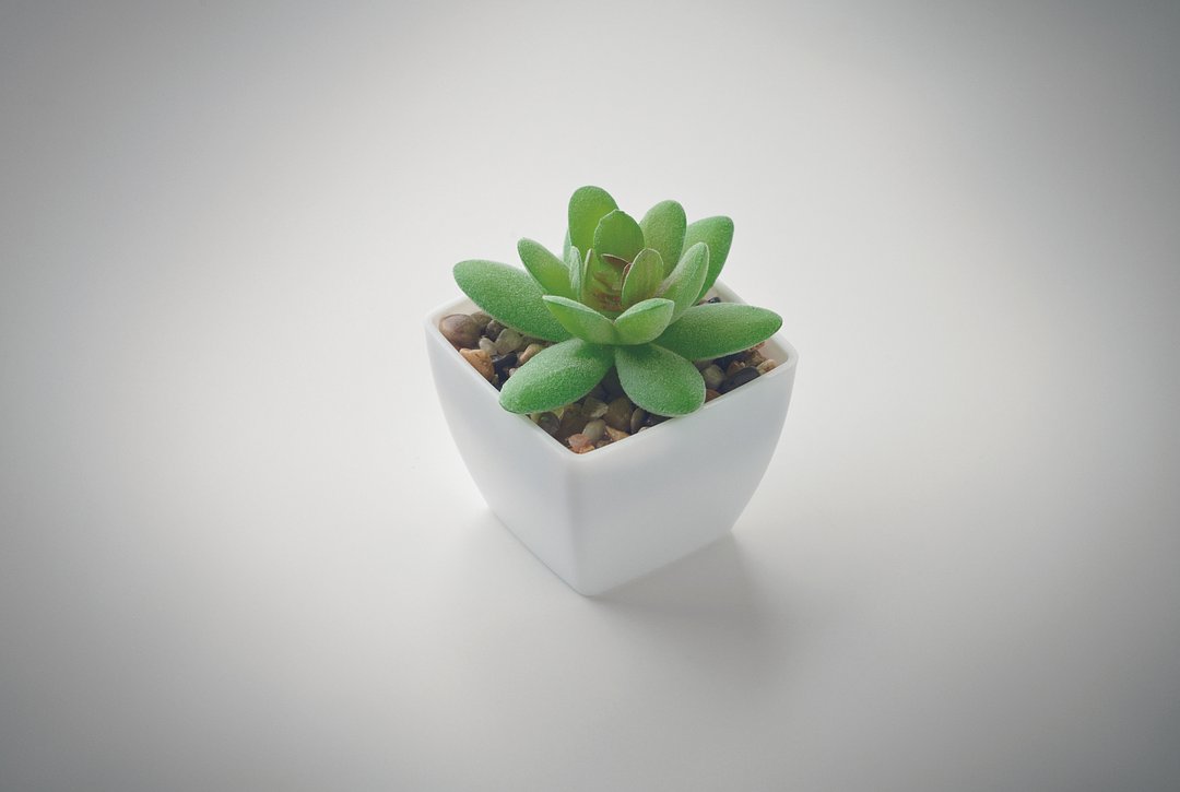 Mini-Kunstpflanze Ciaminath