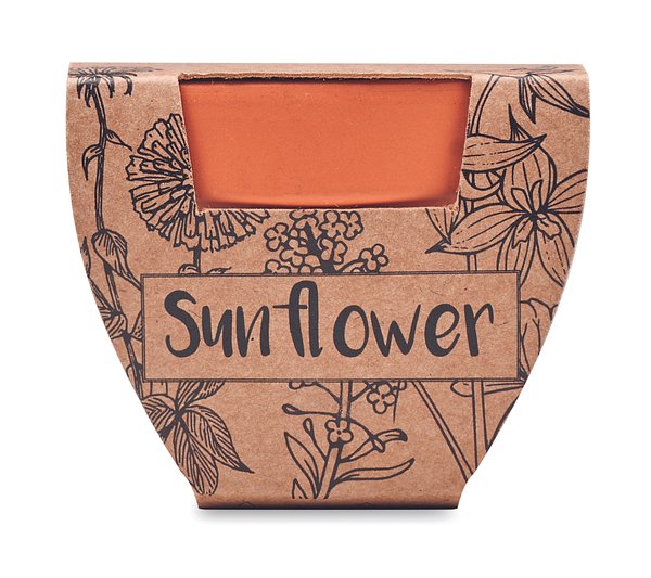 Terracotta-Topf Sonnenblume Waltias