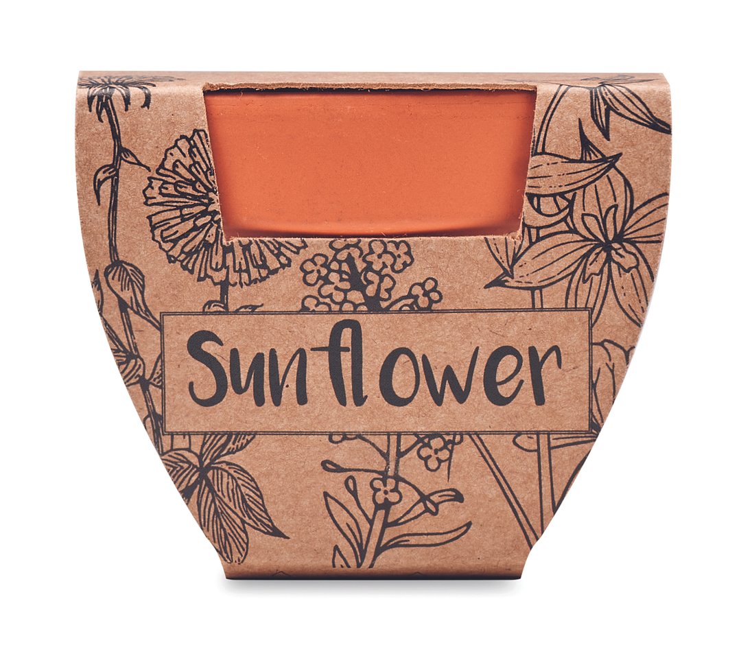 Terracotta-Topf Sonnenblume Waltias