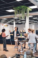 Trinkflasche RPET 600ml Renath