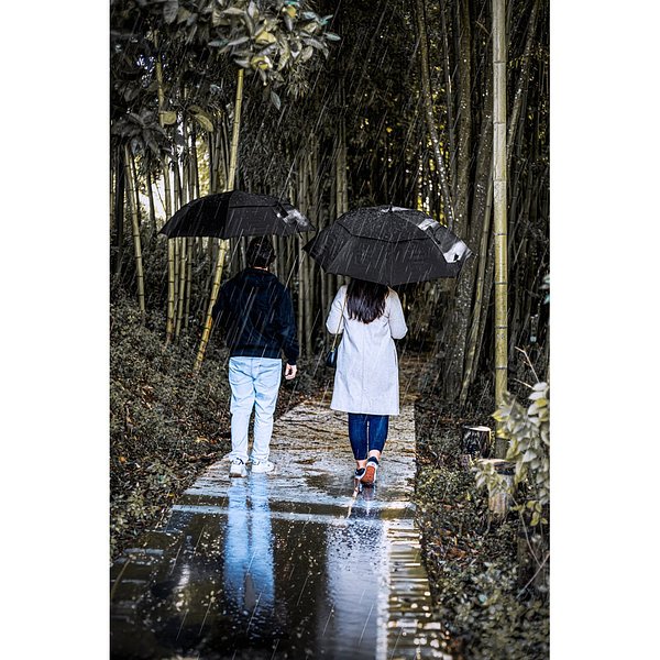 27.5“ Regenschirm aus 190T Pongee mit automatischer Öffnung Dolfan