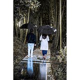 27.5“ Regenschirm aus 190T Pongee mit automatischer Öffnung Dolfan