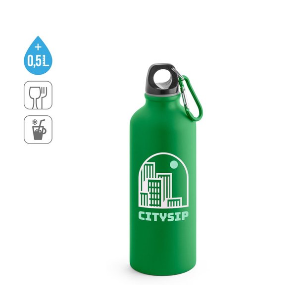 Trinkflasche 550 mL Neschana