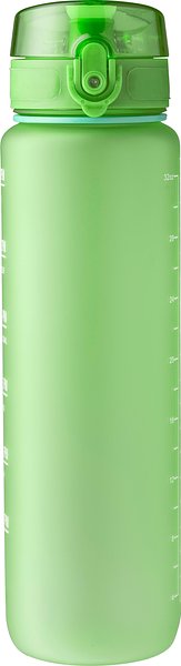 Trinkflasche Iteilgiep | Recycelt | 1 l