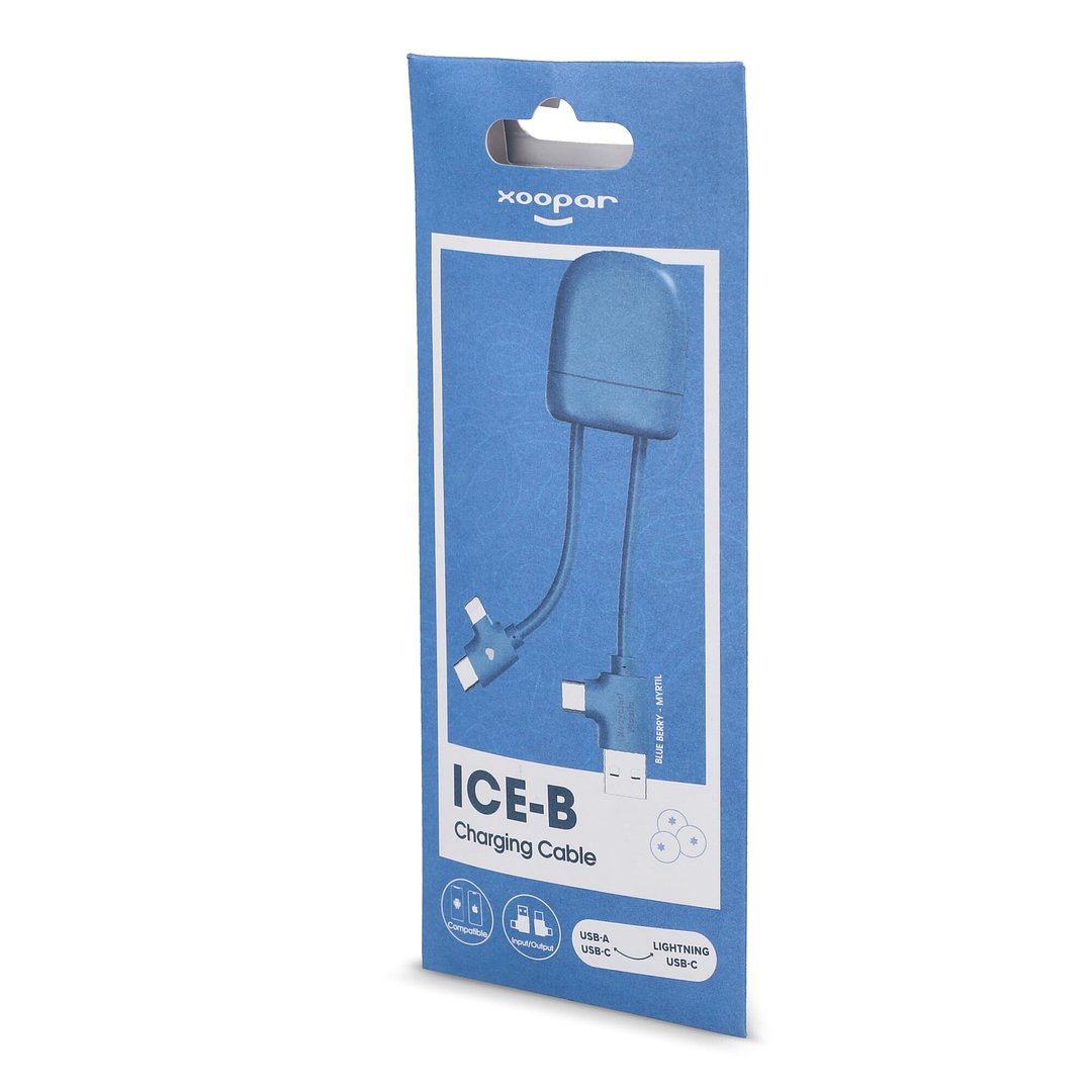 ICE-B Multi-Ladekabel Stgaulf