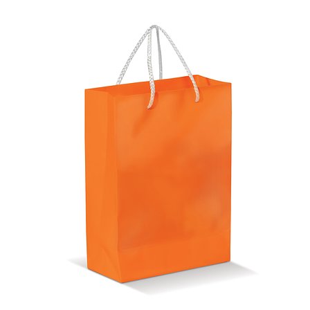 Laminierte Papiertasche, groß Utzio
