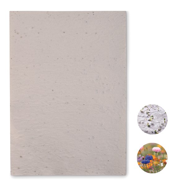 DIN A4 Wildblumen-Samenpapier Utzzi