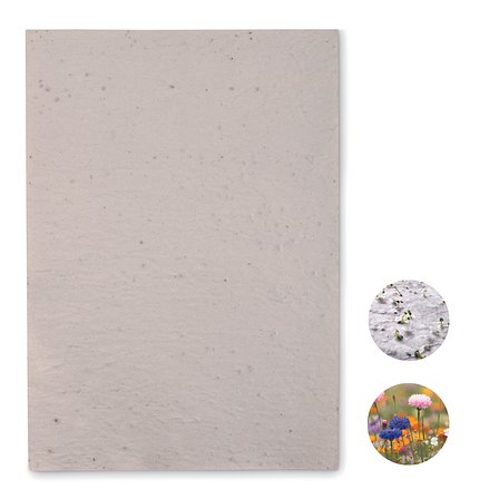 DIN A4 Wildblumen-Samenpapier Utzzi