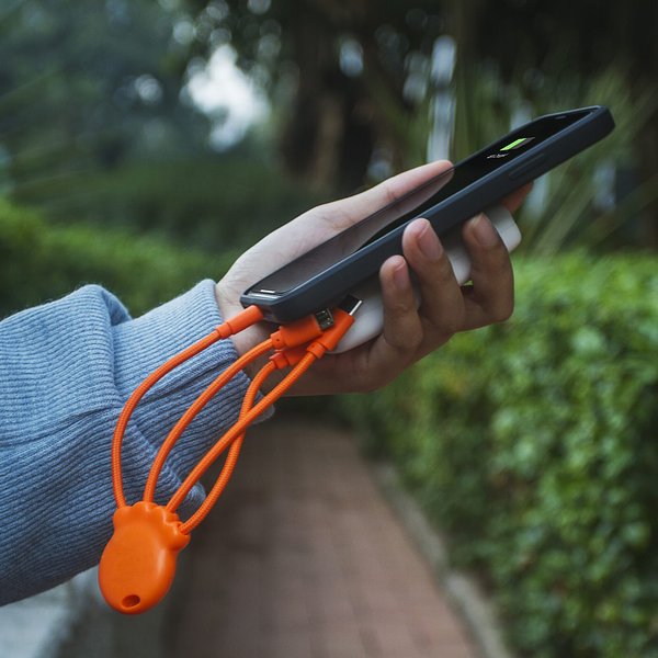 Octopus Charging cable Verilly