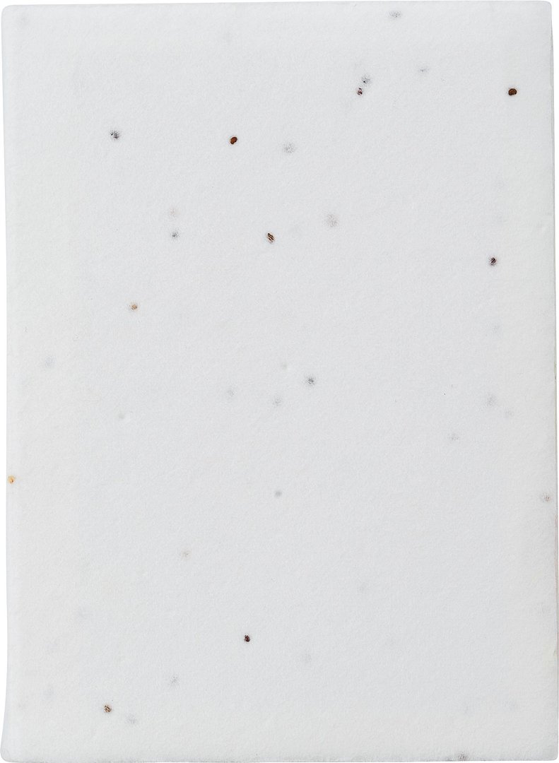 Haftnotizen aus Papier Corg