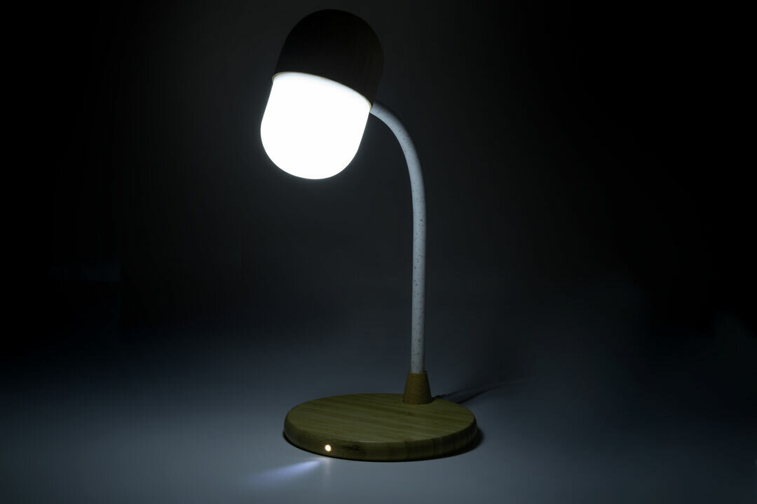 Multifunktion Lampe Idars