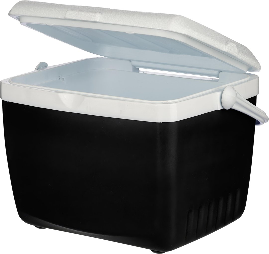 Kühlbox 13 Liter Orinan