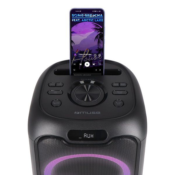 Party-Lautsprecher mit Mikrofon 150W Chatinana