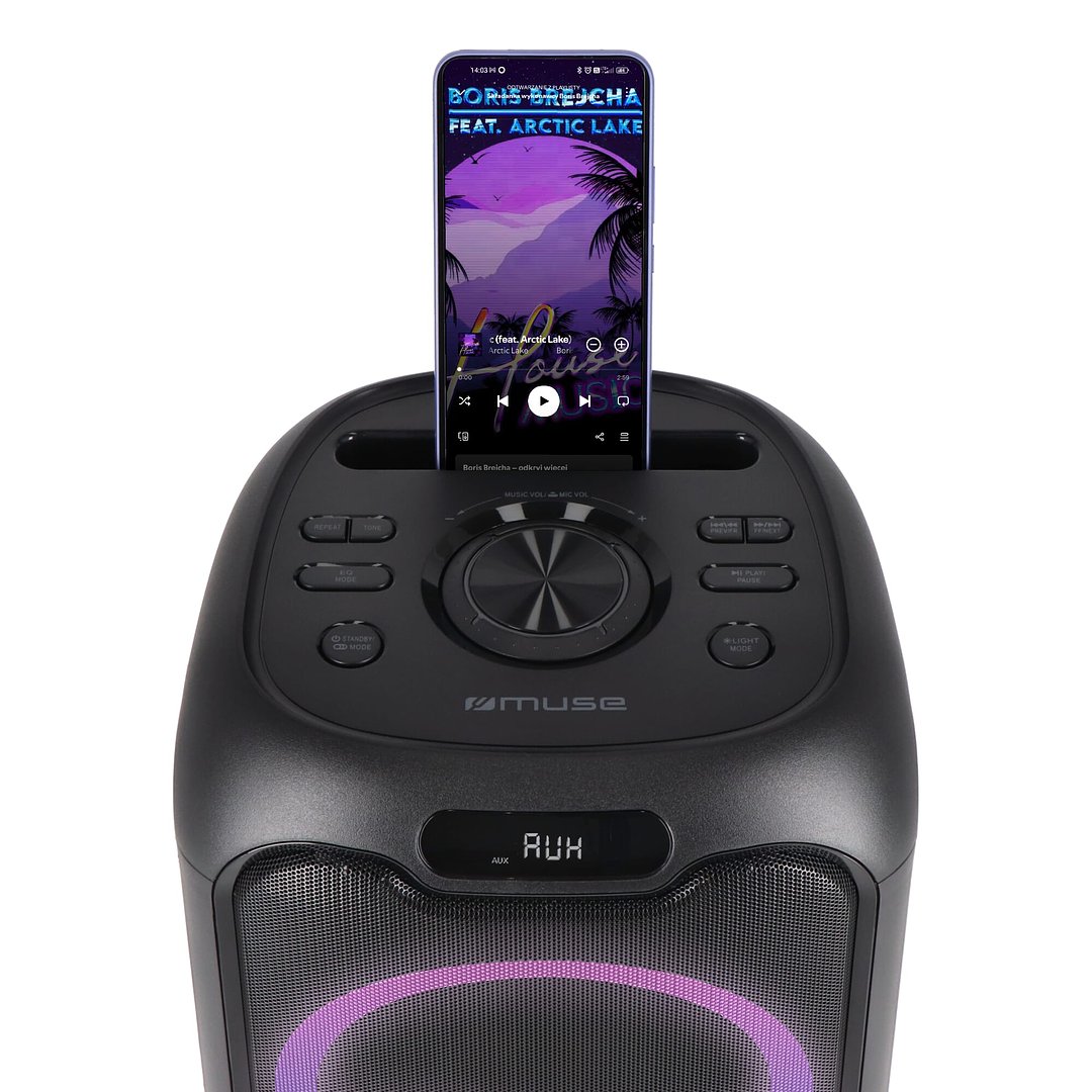 Party-Lautsprecher mit Mikrofon 150W Chatinana