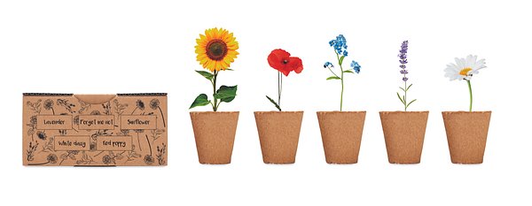 Saat-Set Sommerblumen Nelylas
