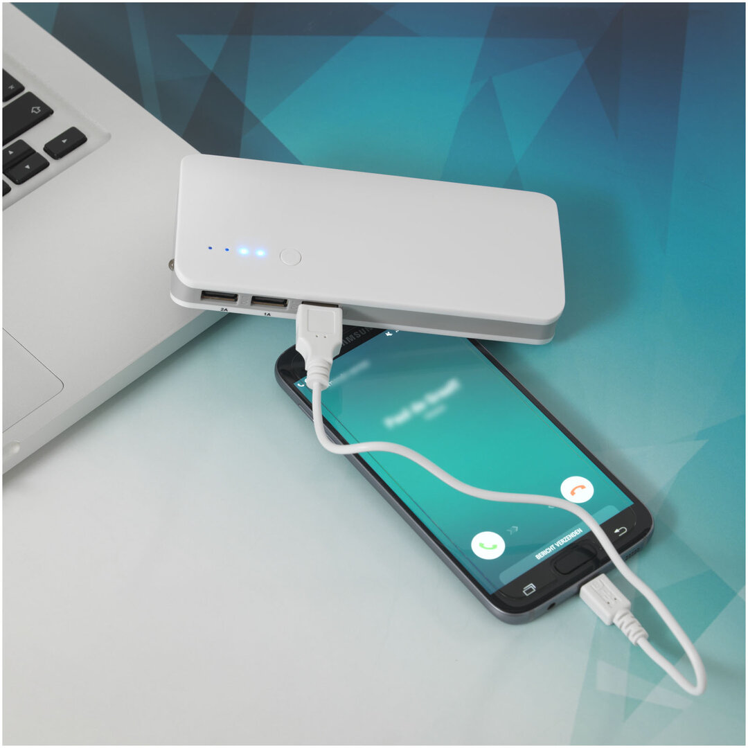 10000 mAh Powerbank - Leycis
