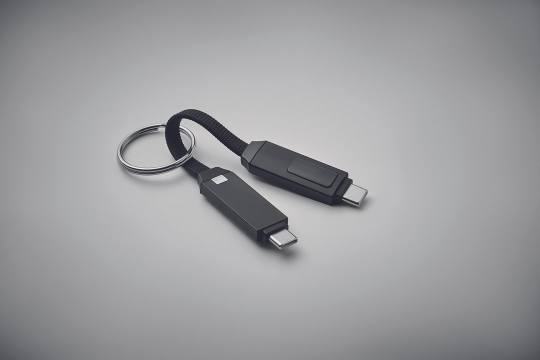 60W Schlüsselring-Ladekabel Pauli