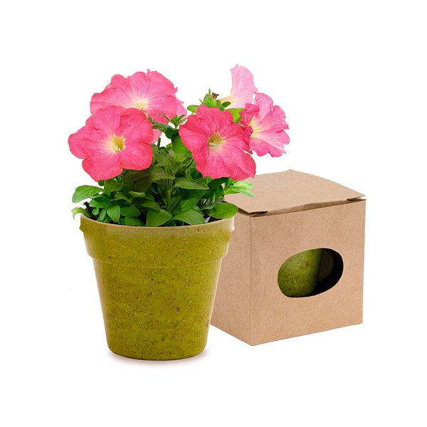 Blumentopf Idert