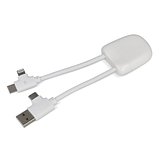 ICE-B Multi-Ladekabel Stgaulf