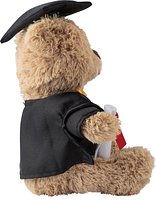Plüsch-Graduierungsbär Dumeni