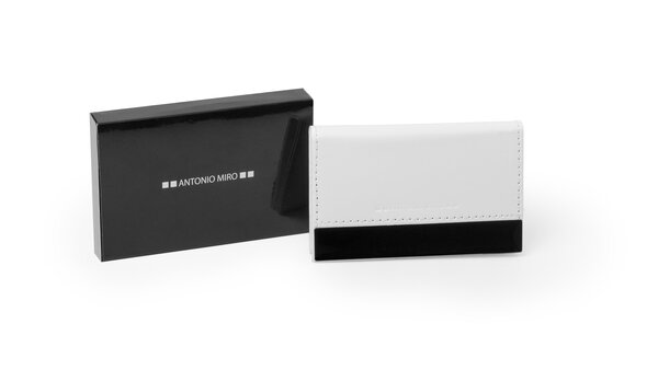 Visitenkartenetui Spiegel Idfil