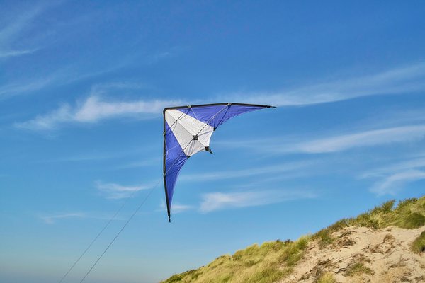 210T Polyester-Drachen Aninan